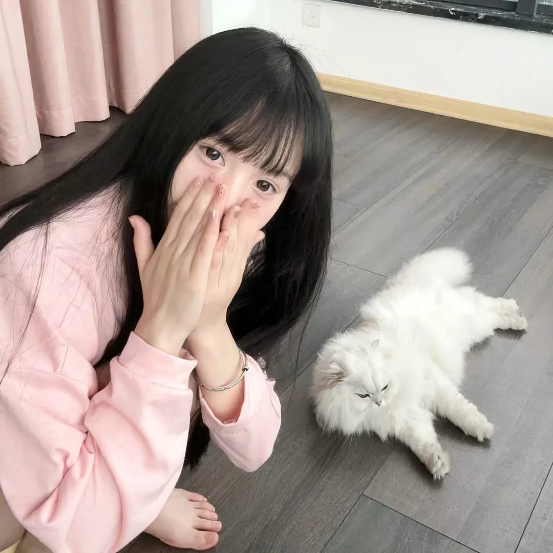 山海际会 在线观看