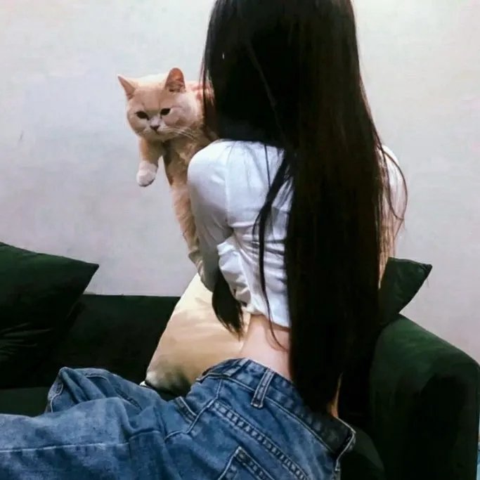 绯色战姬 在线观看